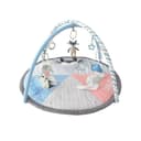 Miniatura 1 de Gimnasio Didáctico Carestino