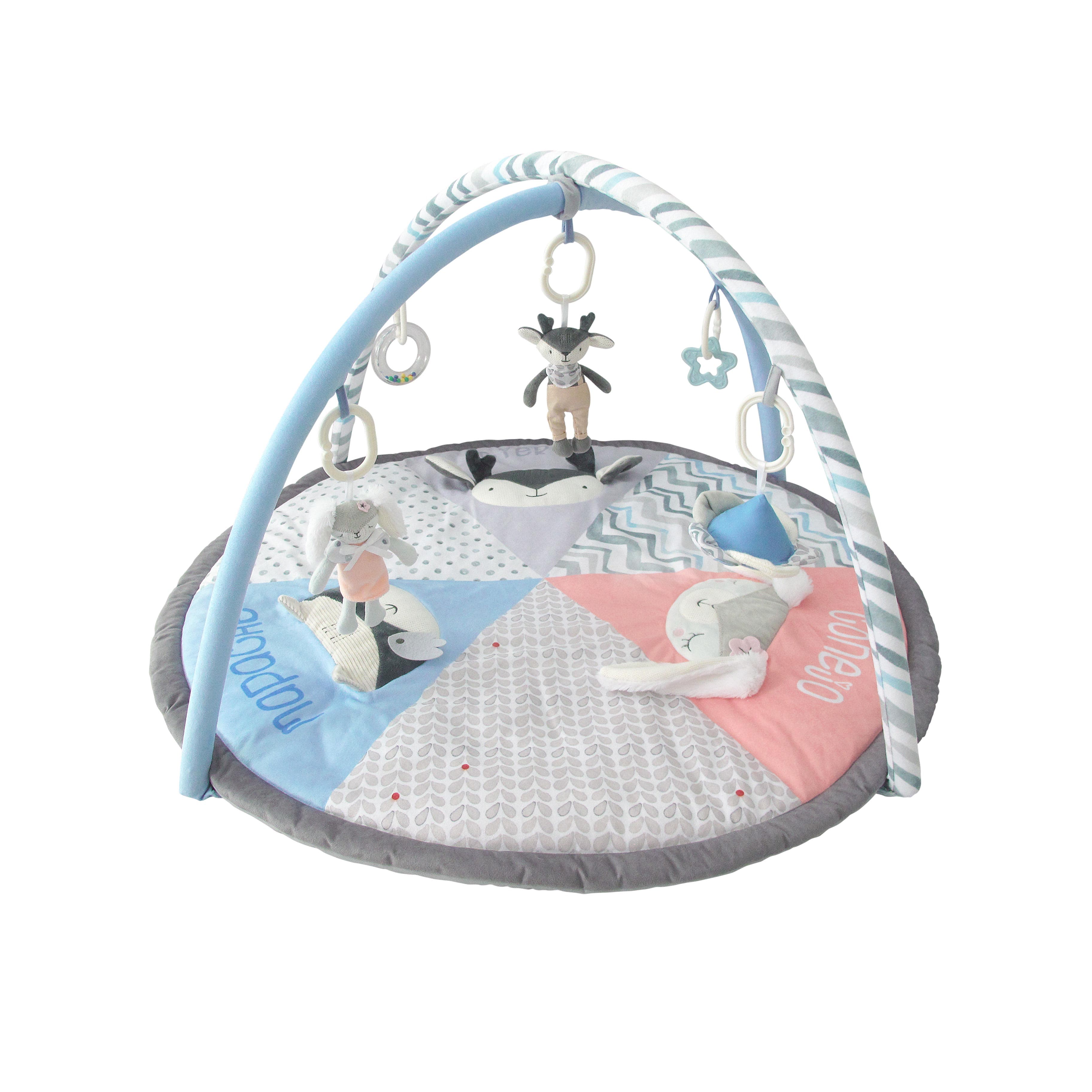 Imagen 1 de 3 de Gimnasio Didáctico Carestino