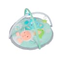 Miniatura 2 de Gimnasio Didáctico Carestino