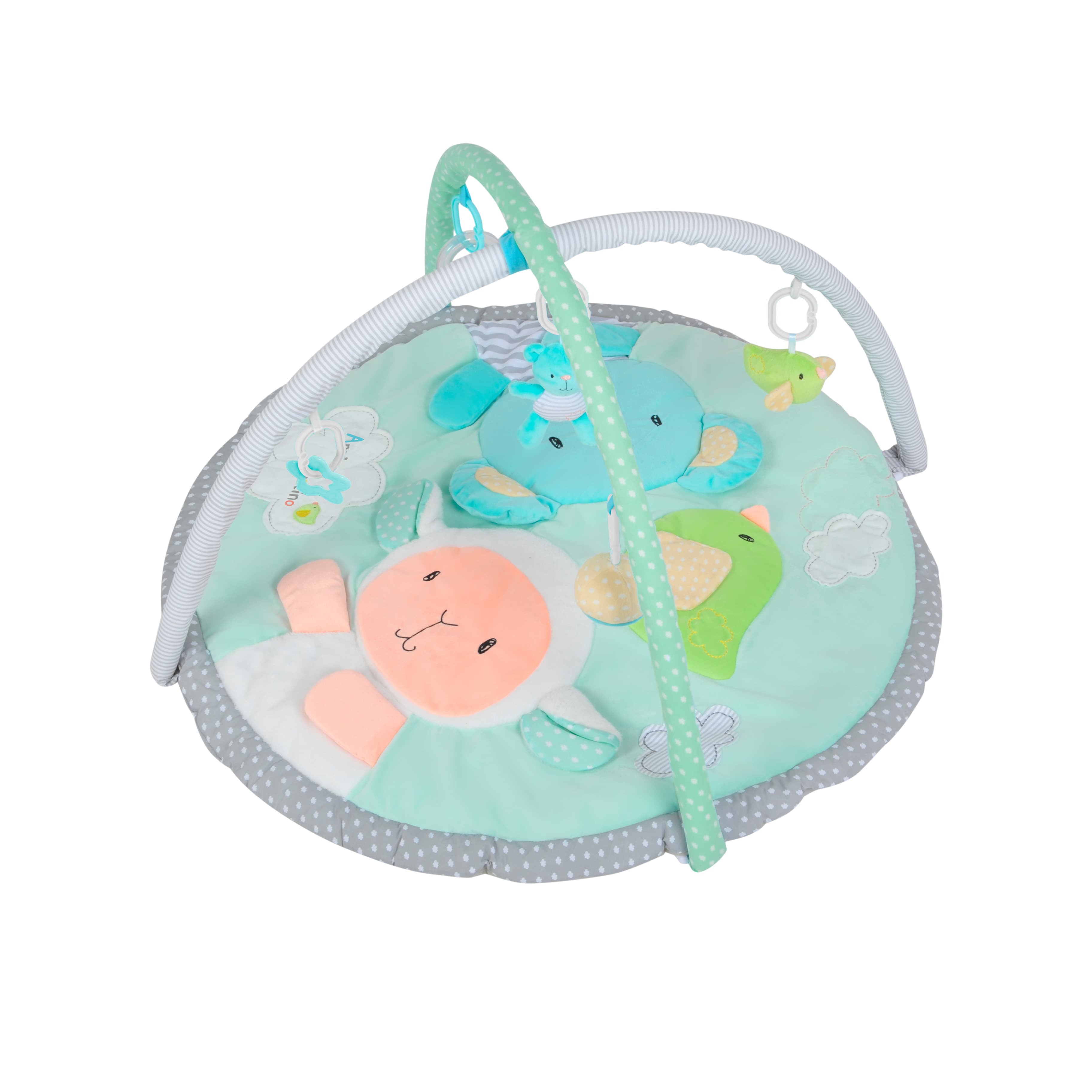 Imagen 2 de 3 de Gimnasio Didáctico Carestino