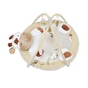 Miniatura 2 de Gimnasio Didáctico Carestino