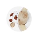 Miniatura 3 de Gimnasio Didáctico Carestino