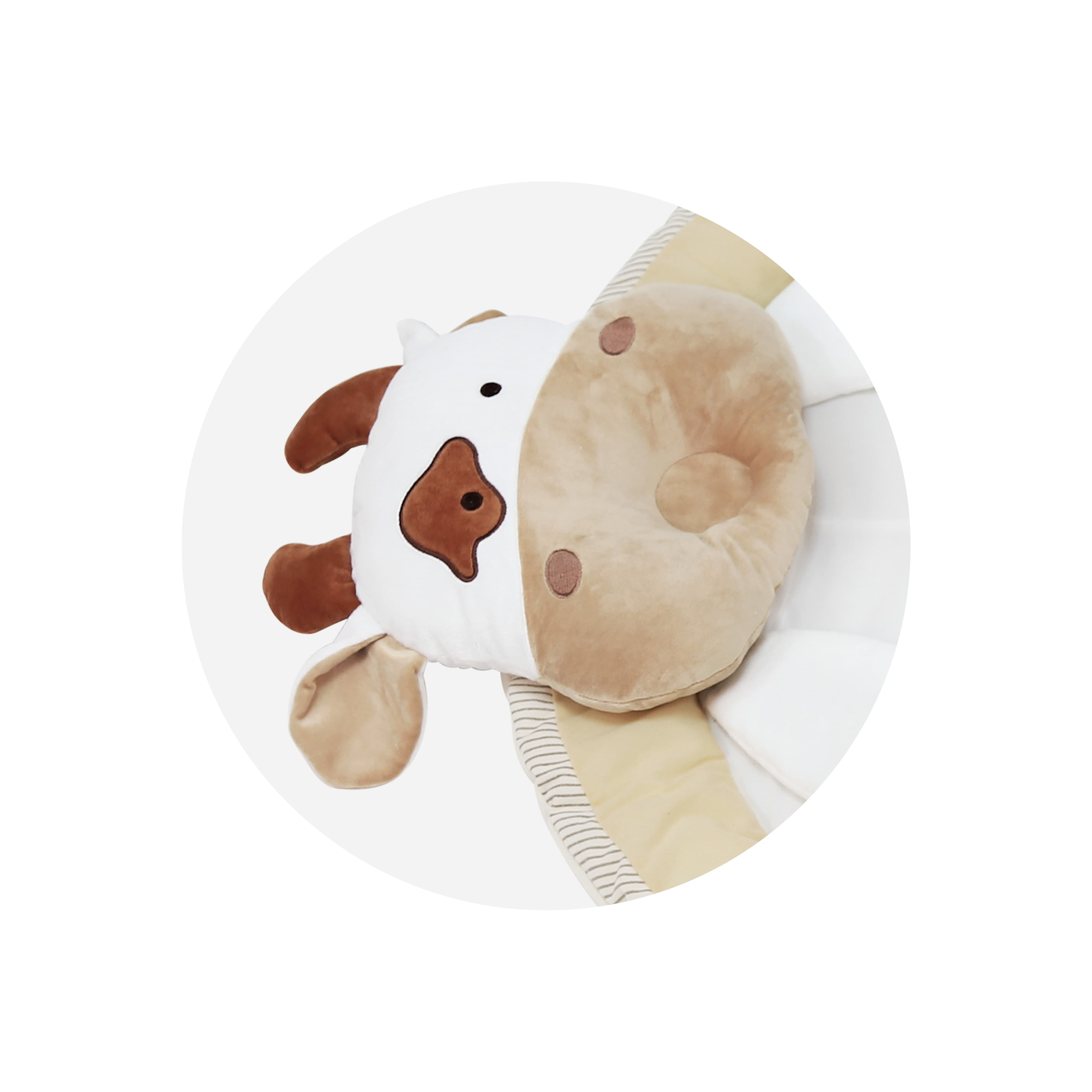 Imagen 3 de 4 de Gimnasio Didáctico Carestino