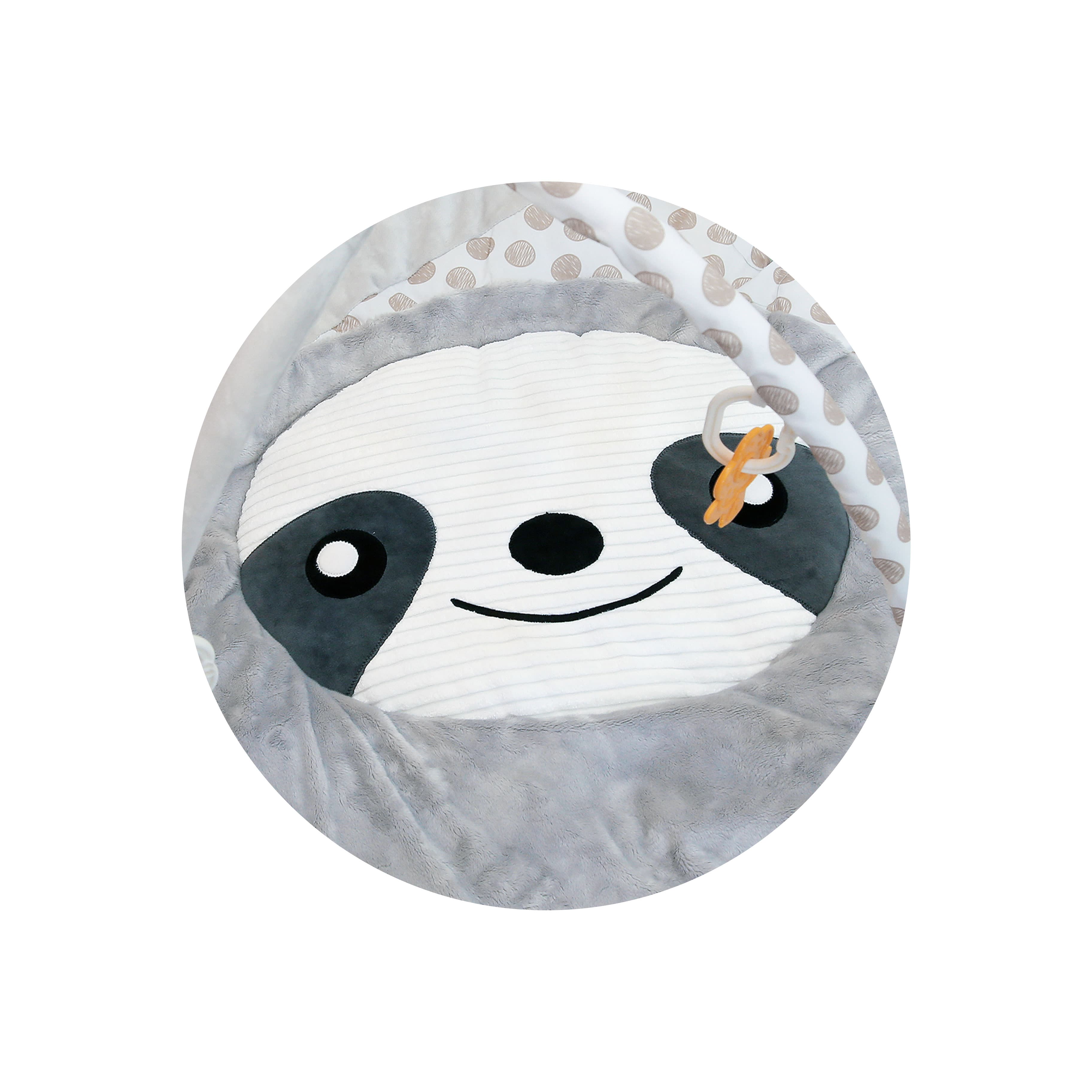 Imagen 3 de 3 de Gimnasio Didáctico Carestino